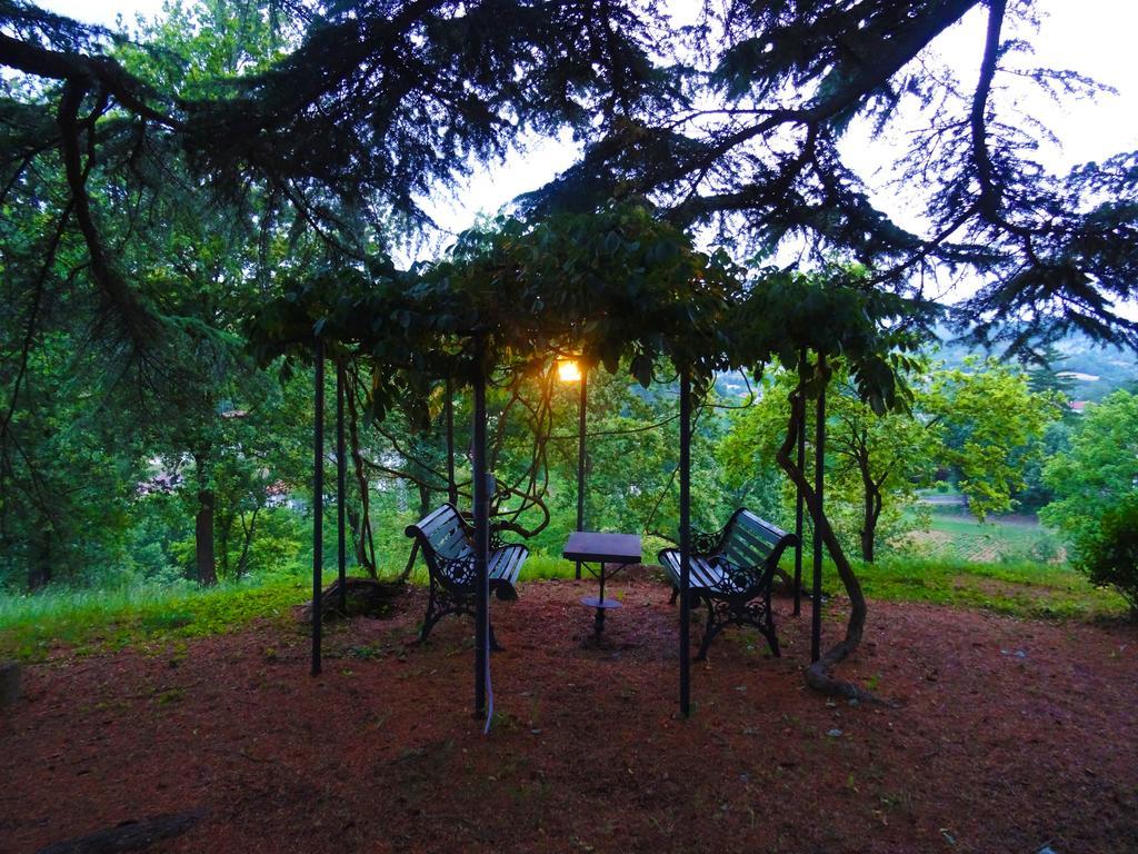 Bed and Breakfast La Celestina Piana Crixia Exterior foto